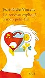 Le Cerveau Expliqu Mon Petitfils