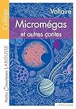 Micromgas Le Monde Comme Il Va Jeannot Et Colin