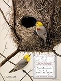 Carnets Secrets Dun Ornithologue