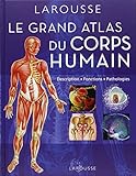 Grand Atlas Du Corps Humain Description Fonctions Pathologies