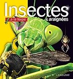 Insectes Et Araign%C3%A9es