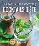 Les Meilleures Recettes Cocktails D'%C3%A9t%C3%A9