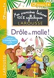 Premires Lectures Larousse 100 Syllabiques Drle De Malle 