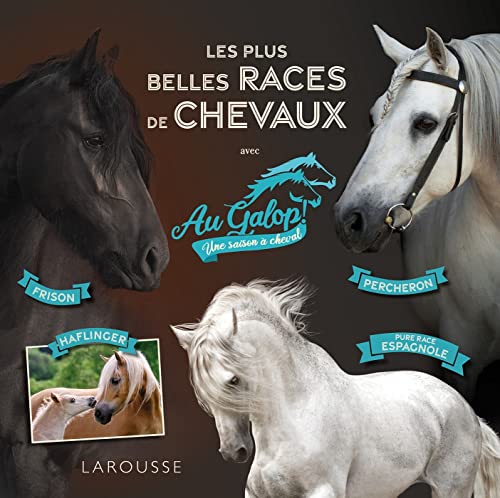 Les Plus Belles Races De Chevaux - Avec Au Galop ! Une Saiso