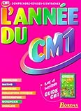 Lannee Du Cm1 Comprendre Reviser Sentrainer