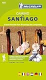 Carte Zoom Camino De Santiago