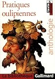 Pratiques Oulipiennes