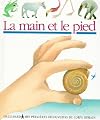 Cache-cache avec la main et le pied (Mes livres magiques)