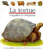 La Tortue