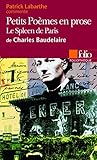Petits Po%C3%A8mes En Prose De Charles Baudelaire (commentaires)