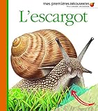 L'escargot
