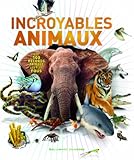Incroyables Animaux Les 100 Records Animaux Les Plus Fous