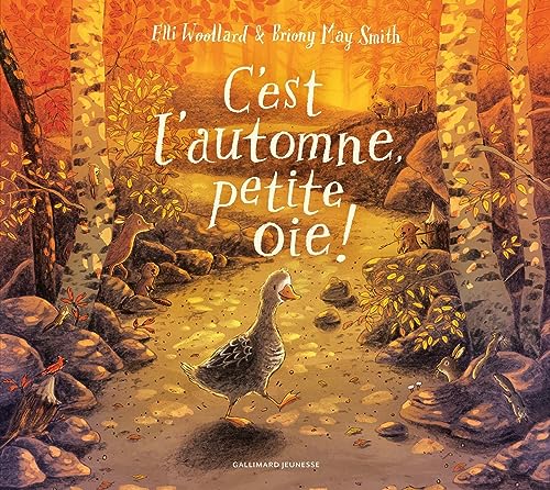 Amazon.fr