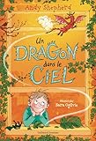 Un dragon dans le ciel