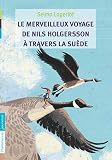 Le Merveilleux Voyage De Nils Holgersson Travers La Sude