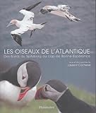 Les Oiseaux De Latlantique Des Fjords Du Spitzberg Au Cap De Bonneesprance