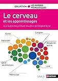Le Cerveau Et Les Apprentissages Cycles 123