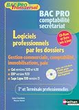 Logiciels Professionnels Par Les Dossiers 1e Et Tle Bac Pro Comptabilit Secrtariat Gestion Commerciale Comptabilit Immobilisations Paie Ciel 900 Sage Ligne 100 Version 13 1cdrom