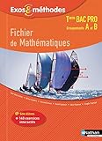 Fichier De Math%C3%A9matiques Tle Bac Pro Groupements A Et B