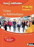 Fichier De Math%C3%A9matiques Tle Bac Pro Groupement C