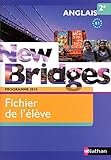 New Bridges 2e