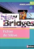 New Bridges Terminales