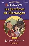 Lnigme Des Vacances Les Fantmes De Glamorgan Lire Pour Rviser Du Ce2 Au Cm1