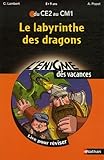 Enigme Vac Ce2 Au Cm1 Labyrint