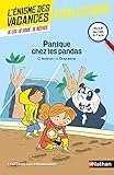 Panique Chez Les Pandas   L'%C3%A9nigme Des Vacances   Cp Vers Ce1   6