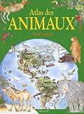 Amazon изображение на корицата