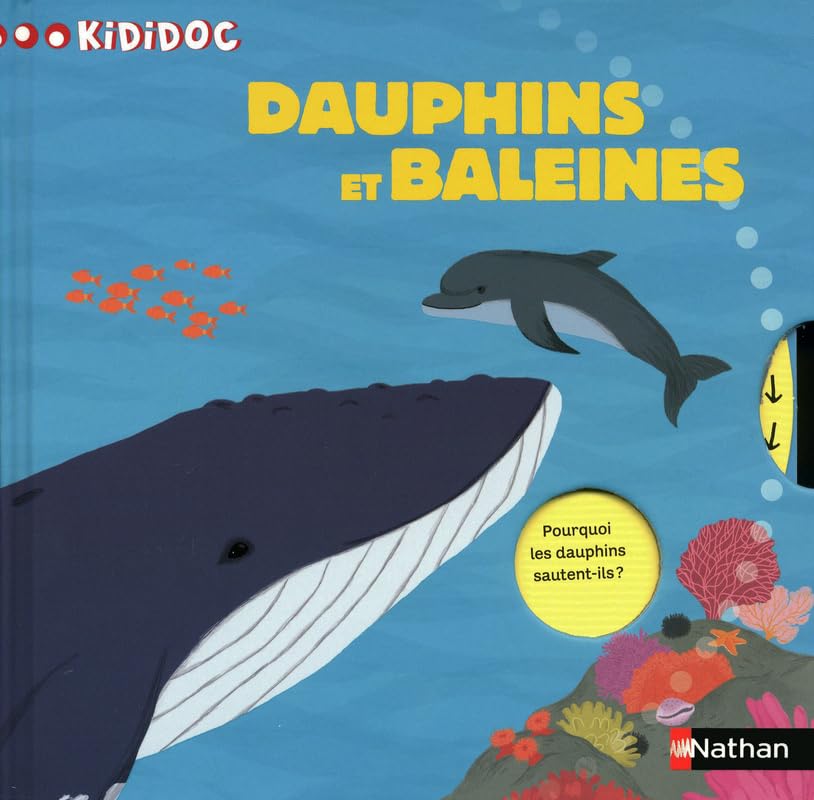 Dauphins Et Baleines Sylvie Baussier