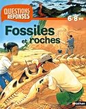 N16   Fossiles Et Roches