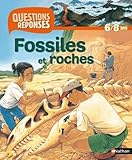 Fossiles Et Roches Avec Prime