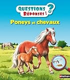 Poneys Et Chevaux
