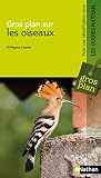 Gros Plan Sur Les Oiseaux
