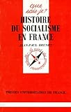 Histoire Du Socialisme En France De 1871 Nos Jours