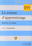 Le Roman Dapprentissage Thmes Et Sujets