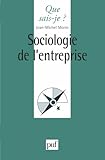 Sociologie De Lentreprise