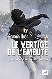 Le Vertige De Lmeute De La Zad Aux Gilets Jaunes