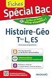 Sp%C3%A9cial Bac : Fiches Histoire G%C3%A9ographie Tles L, Es