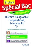 Fiches Histoire Geographie G%C3%A9opolitique Sciences Politiqu Premier