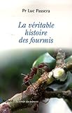 La V%C3%A9ritable Histoire Des Fourmis