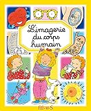 L'imagerie Du Corps Humain