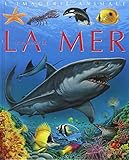 La Grande Imagerie   Les Animaux De La Mer