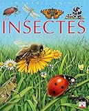 Les Insectes : Pour Les Faire Conna%C3%AEtre Aux Enfants