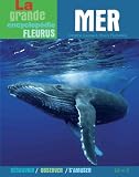 Mer