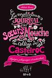 Le Malicieux Journal Des Soeurs Mouche Au Collge De Castelroc Tome 3 Tout Schuss 