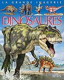 La Grande Imagerie Les Dinosaures