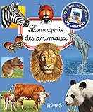 L'imagerie Des Animaux