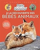 À la découverte des bébés animaux